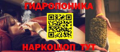 альфа пвп Краснодар