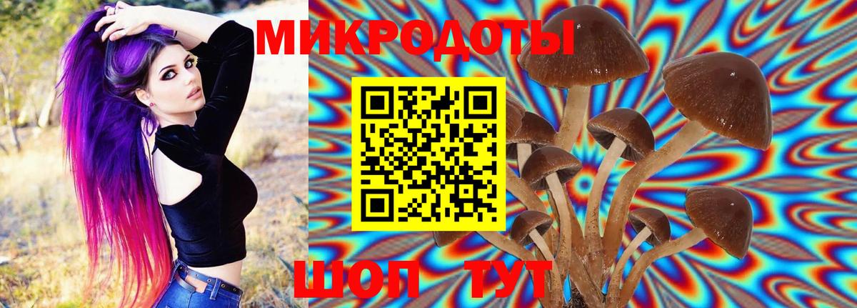Ишим  Галлюциногенные грибы MAGIC MUSHROOMS  Псилоцибиновые грибы мухоморы  где купить наркотик  Вход с VPN 